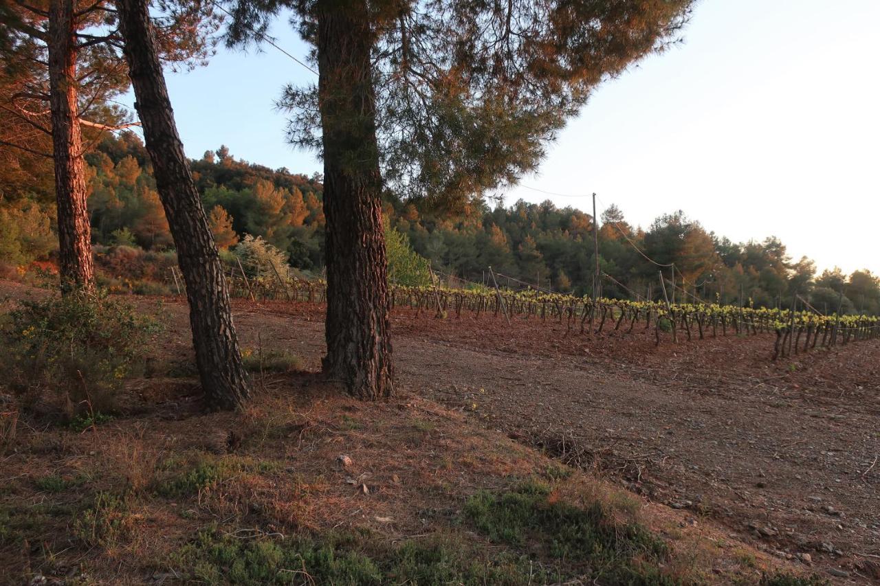 Masia Sagues Poblet Zewnętrze zdjęcie