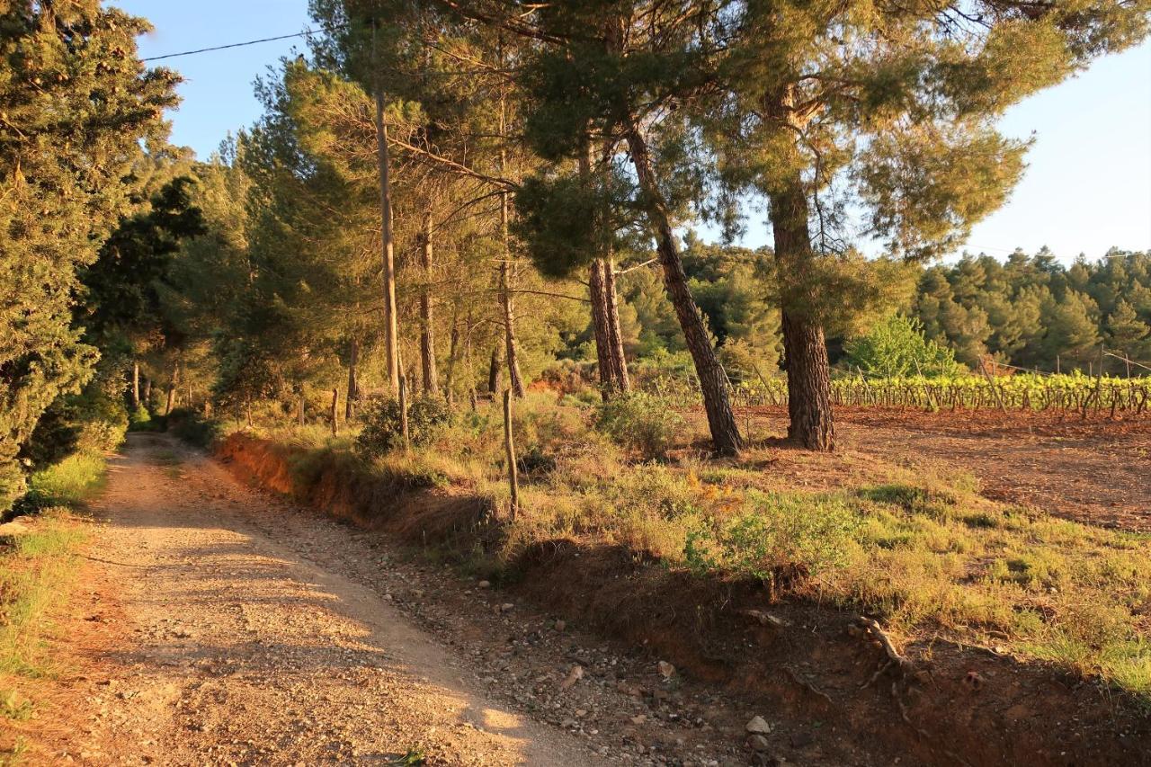 Masia Sagues Poblet Zewnętrze zdjęcie