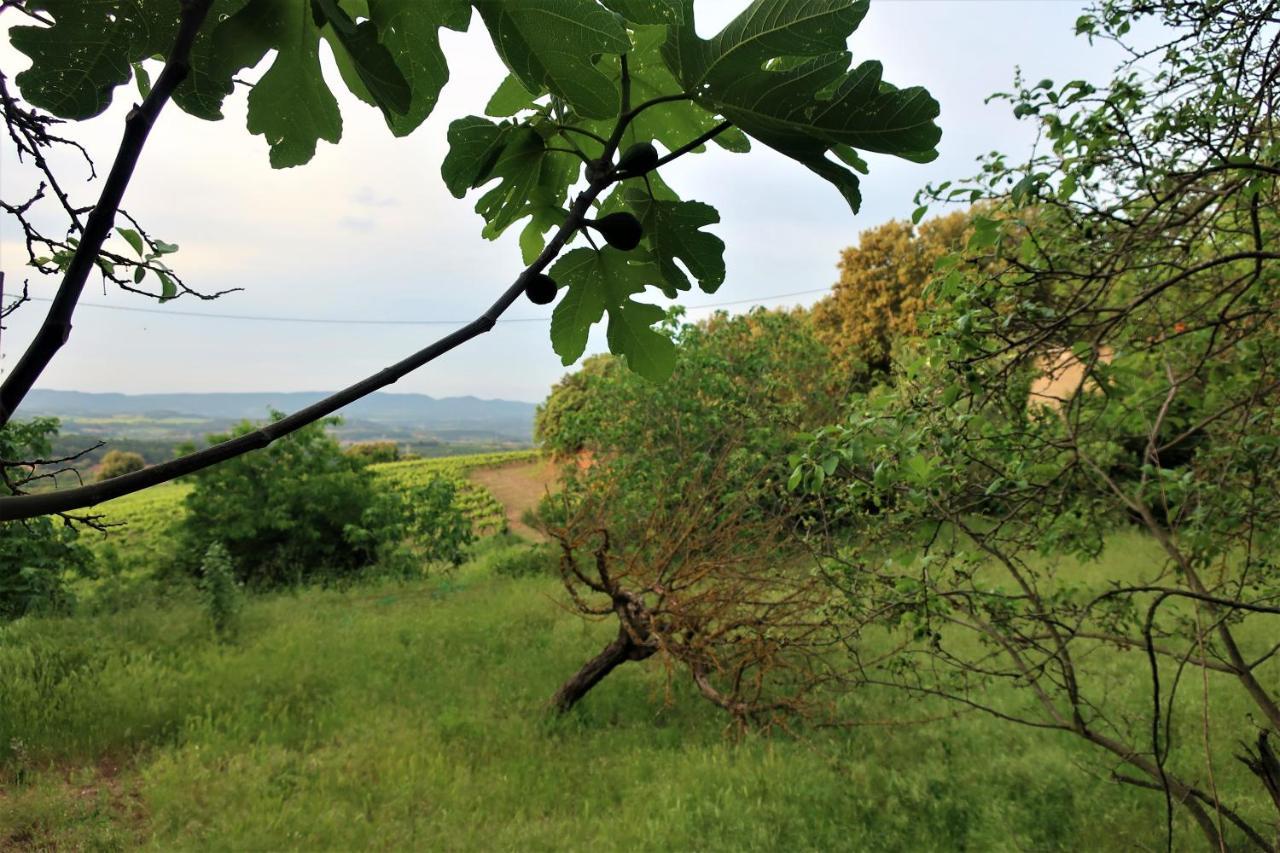 Masia Sagues Poblet Zewnętrze zdjęcie